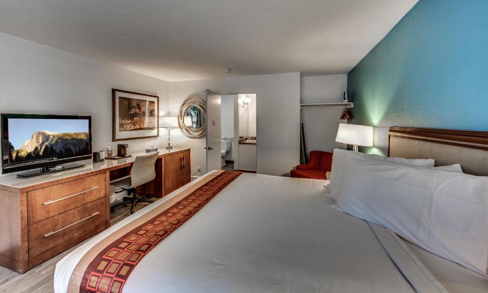 Single Room - Disability Access interior